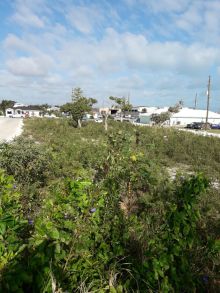  - Marsh Harbour Abaco